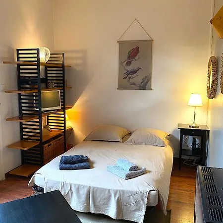 Apartment Le Balcon De Jules - Charmant Pied-a-terre - Parking Possible Pour Vehicule De Moins De 4,40 M De Long Lyon